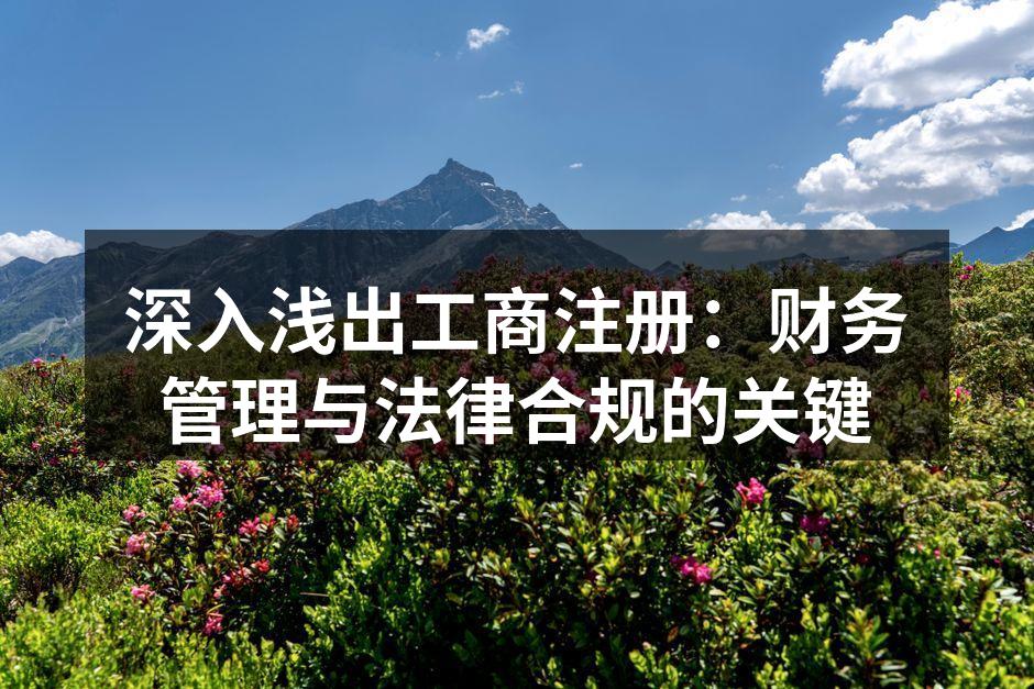 深入浅出工商注册：财务管理与法律合规的关键